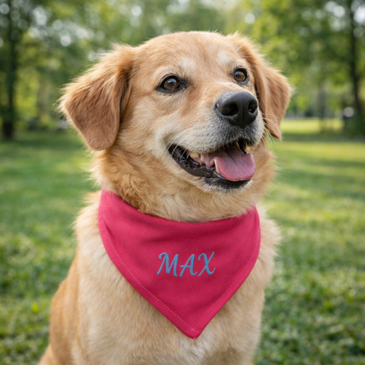 Bandana para Mascota