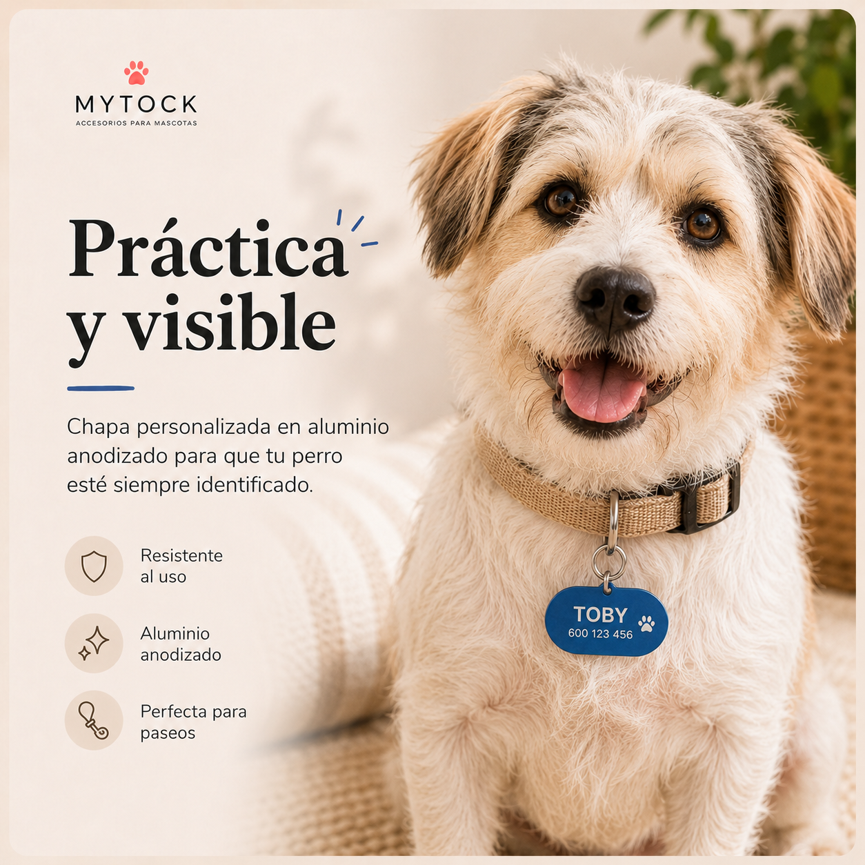Perro con chapa azul ovalada de aluminio anodizado